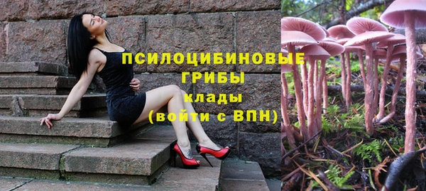 спиды Баксан